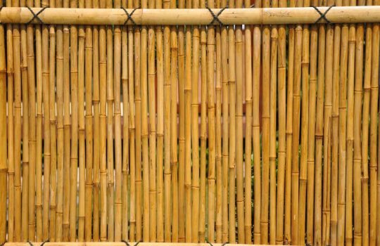 Bamboo Fences2